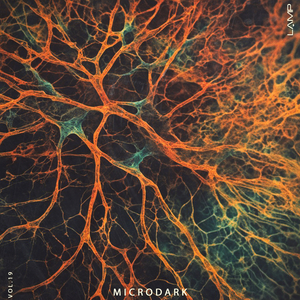 Alaris (Original Mix)