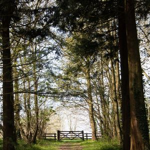 有趣午觉时间情怀