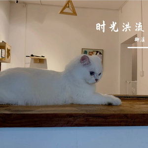 时光洪流