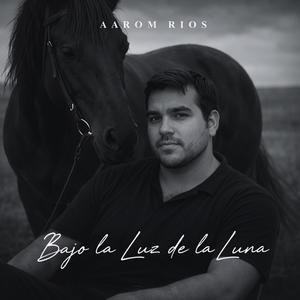Bajo la Luz de la Luna
