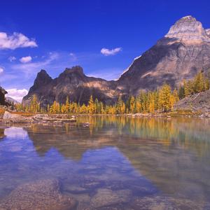 与你在一起的日子是快乐