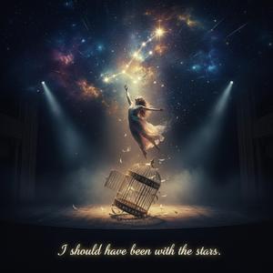 I Should Have Been With The Stars