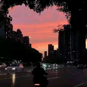 虎二-你一定要幸福（DJ小张 remix）