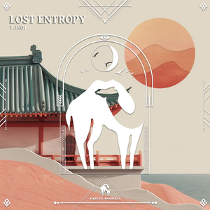 Lost Entropy