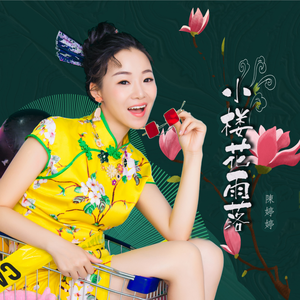 小楼花雨落（DJ版）