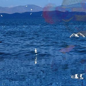 胃出血 feat.BryanNoT