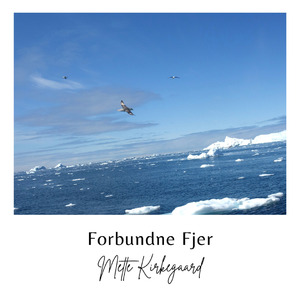 Forbundne Fjer