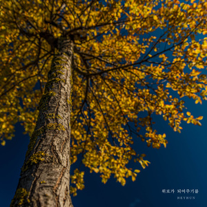 위로가 되어주기를