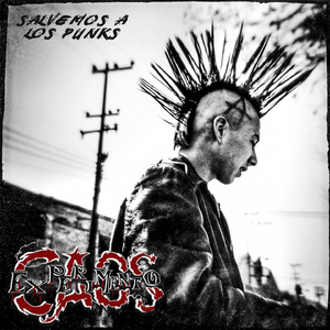 Salvemos a los Punks