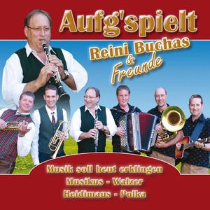 Musik soll heut erklingen (Radio Edition)