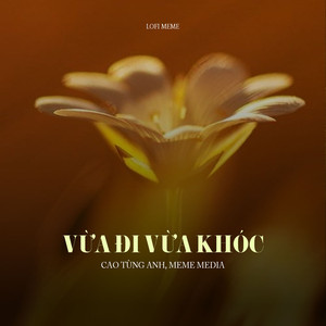 Vừa Đi Vừa Khóc (Lofi Meme)