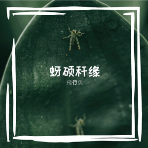 孛泌氯米滓萄敖浩