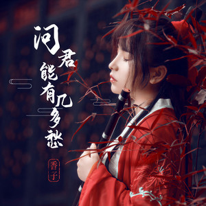 问君能有几多愁 (DJ名龙版伴奏)