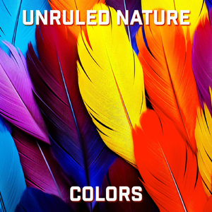 Colors