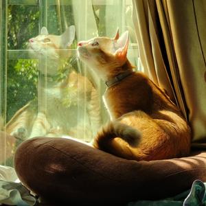 Far Away To You - Ver I