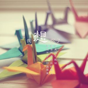 太想念（抖音）