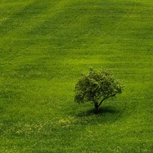 自古美女爱英雄