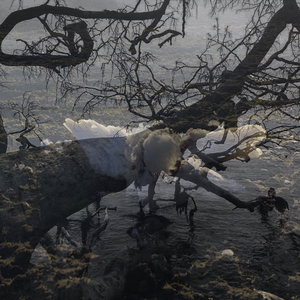 bbb (swan songs for fear)