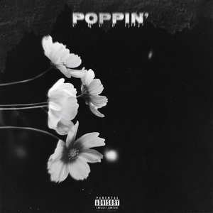 POPPIN'