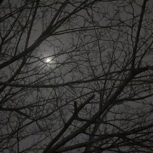 【FREE】Beat "AByss”