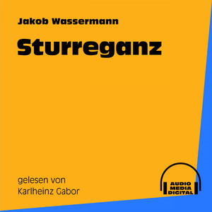 Sturreganz - Teil 143