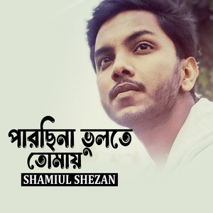 Parchina Bhulte Tomay (Lofi Remix)