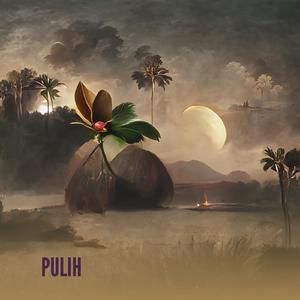 PULIH