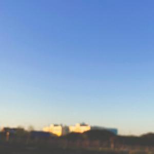 morning stars