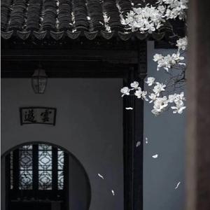 那些年你冒险的梦