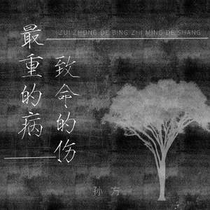 最重的病致命的伤