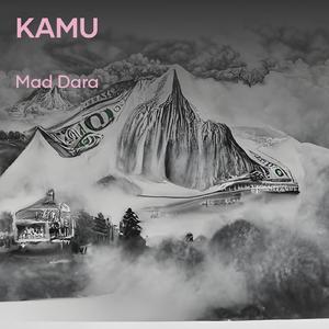 Kamu