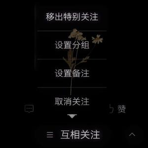 特别关注里的你