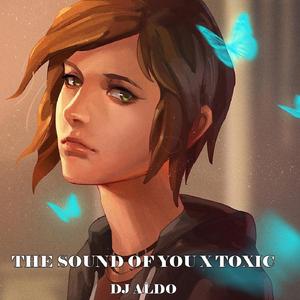 The Sound of You X Toxic