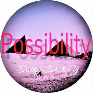 Possibility