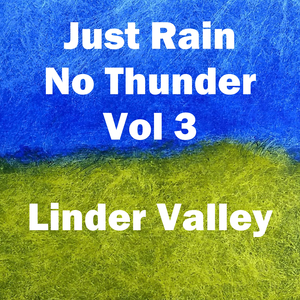 Rain Pouring Down in the Woods