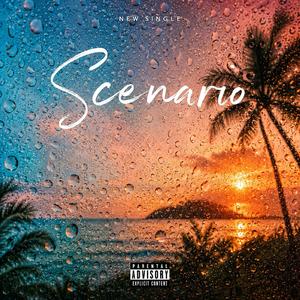 Scenario