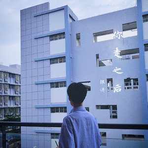 你走之过后