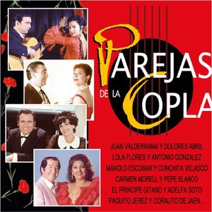 Nunca Te Querre Bastante