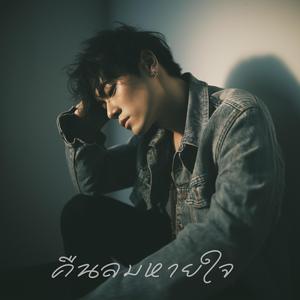 คืนลมหายใจ