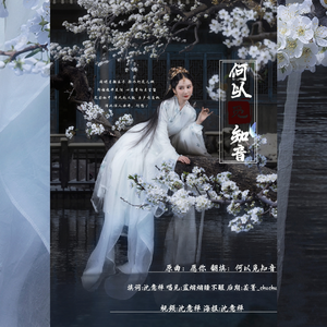 何以觅知音（翻自 昼夜）