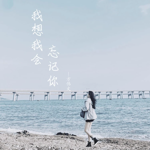 我想我会忘记你