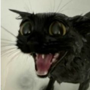 shooter interlude (nightcore)