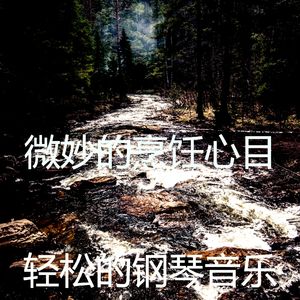 一尘不染放松的印象数