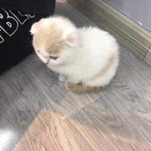 柚柚 (Prod by.BECU BEATZ)