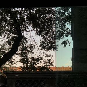 总有一天你会出现我身边