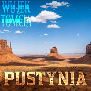 Pustynia