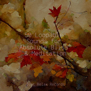 Legacy's Resonant Echo