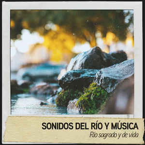 Arroyo moviendose por una cueva