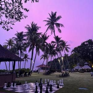 地球Online通关指南