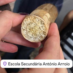 #3ZN GANG (feat. Sik & Kibifreaky)